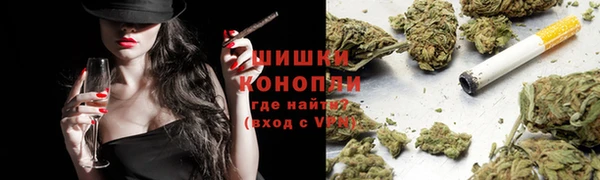 прущие грибы Осташков