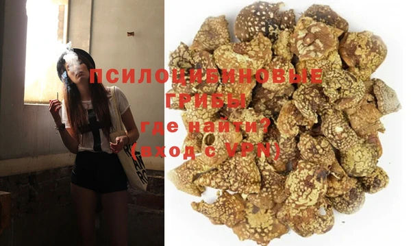 амф Нягань
