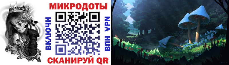 Псилоцибиновые грибы мицелий  Сокол 